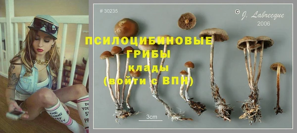 стафф Богданович