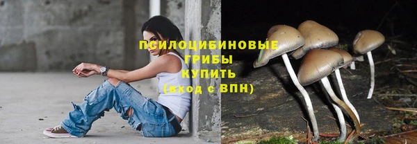 стафф Бронницы