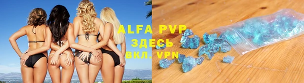гашик Бородино