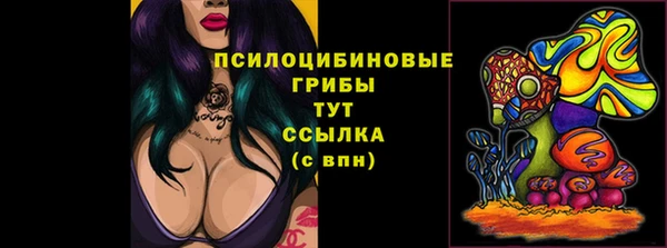 стафф Бронницы