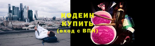 гашик Бородино