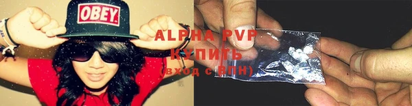 гашик Бородино