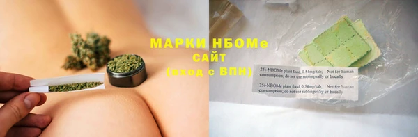 гашик Бородино