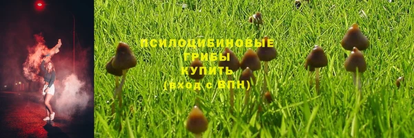 стафф Бронницы