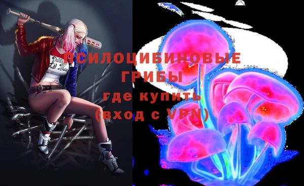 стафф Бронницы