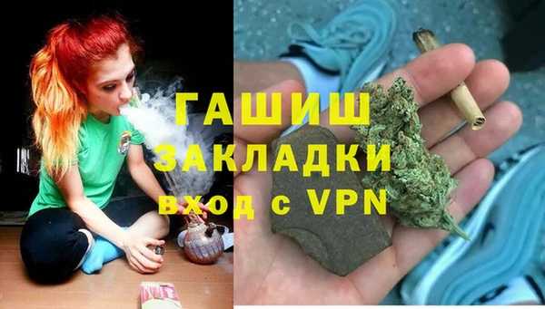 гашик Бородино