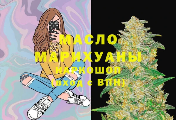 гашик Бородино