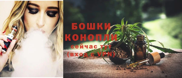 стафф Бронницы