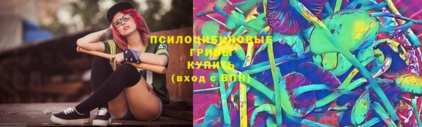 гашик Бородино